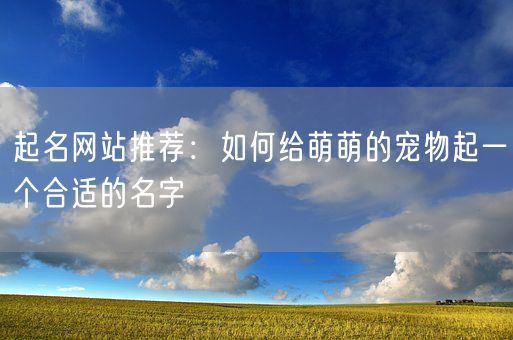 起名网站推荐:如何给萌萌的宠物起一个合适的名字(图1) 起名网站推荐:如何给萌萌的宠物起一个合适的名字(图1)