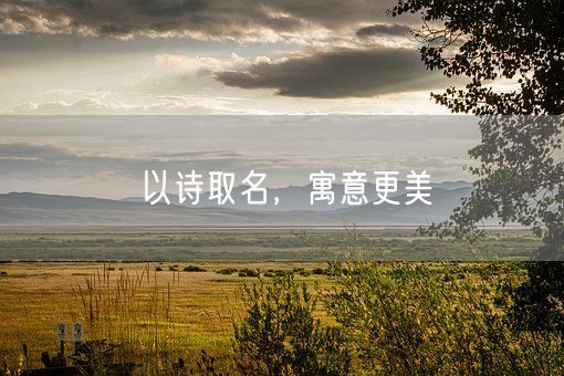 以诗取名，寓意更美(图1)