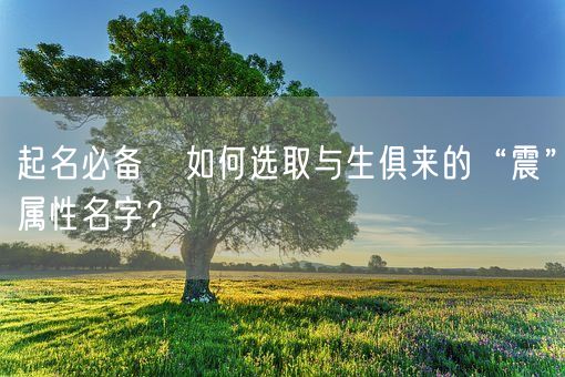起名必备 如何选取与生俱来的“震”属性名字?(图1) 起名必备 如何选取与生俱来的“震”属性名字?(图1)