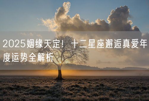 2025姻缘天定!十二星座邂逅真爱年度运势全解析(图1) 2025姻缘天定!十二星座邂逅真爱年度运势全解析(图1)
