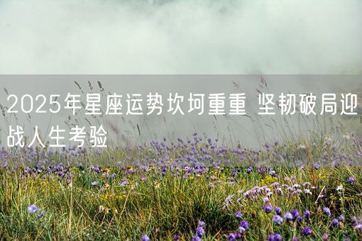 2025年星座运势坎坷重重 坚韧破局迎战人生考验(图1)