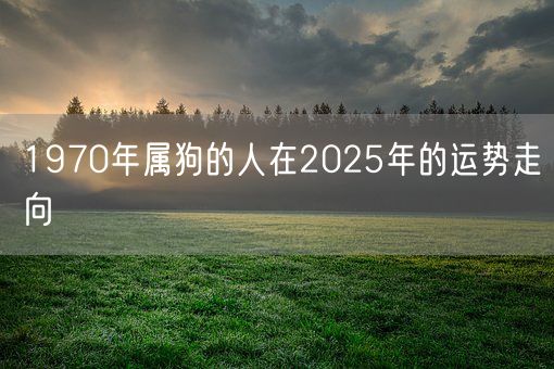 1970年属狗的人在2025年的运势走向(图1)