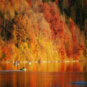 最能抓住男人心的生肖女是谁