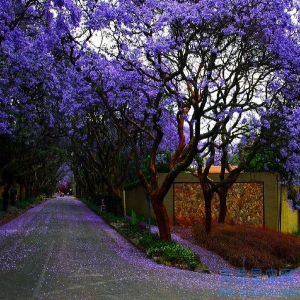 2022年有孩子缘分的生肖 二胎的生肖配对