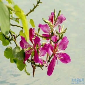 2022年适合生孩子的属相 财运也会提升