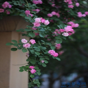 女性犯月的危害和化解破月的最佳方法