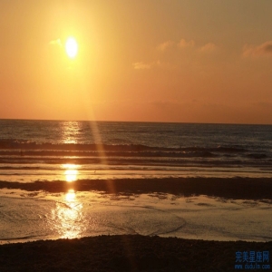 属蛇的父亲生属鼠的孩子相合吗