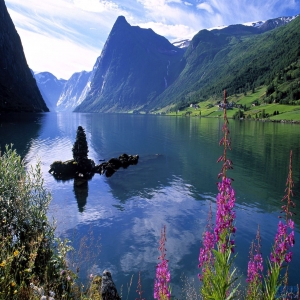 属蛇的和属马适合结婚吗 八字会不会有阻碍