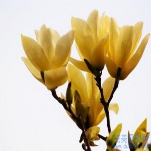 鞋柜摆放的风水禁忌 千万不要放书房