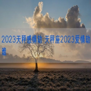 2023天秤感情劫 天秤座2023爱情劫难