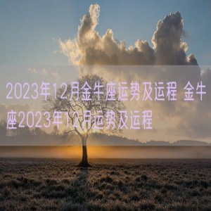2023年12月金牛座运势及运程 金牛座2023年12月运势及运程
