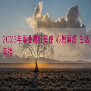 2023年事业最旺星座 心想事成 生活幸福