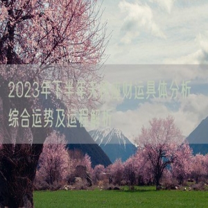 2023年下半年天秤座财运具体分析  综合运势及运程解析