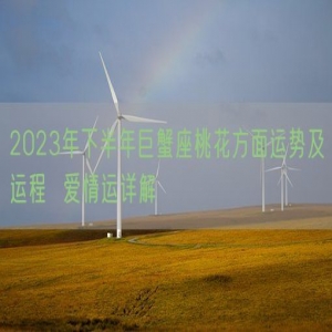 2023年下半年巨蟹座桃花方面运势及运程  爱情运详解
