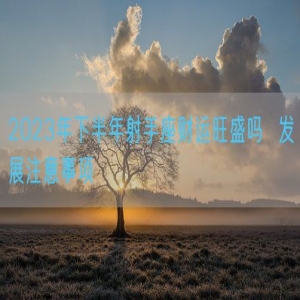 2023年下半年射手座财运旺盛吗  发展注意事项