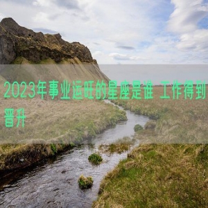 2023年事业运旺的星座是谁 工作得到晋升