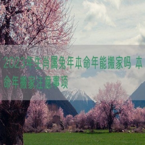 2023年生肖属兔年本命年能搬家吗 本命年搬家注意事项