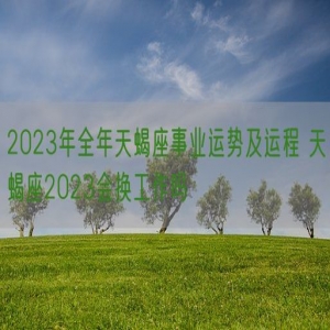2023年全年天蝎座事业运势及运程 天蝎座2023会换工作吗