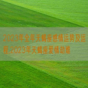2023年全年天蝎座感情运势及运程,2023年天蝎座爱情劫难