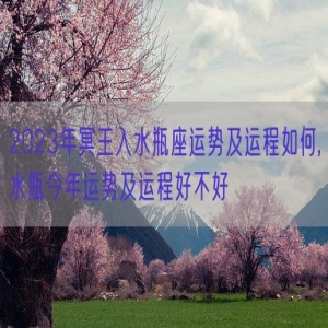 2023年冥王入水瓶座运势及运程如何,水瓶今年运势及运程好不好