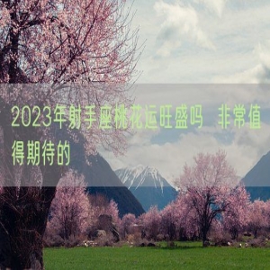 2023年射手座桃花运旺盛吗  非常值得期待的