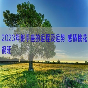 2023年射手座的运程及运势 感情桃花很旺