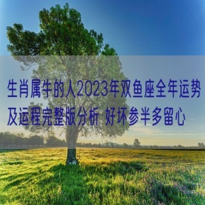 生肖属牛的人2023年双鱼座全年运势及运程完整版分析 好坏参半多留心