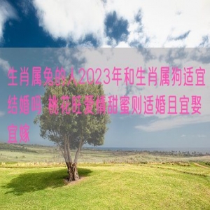 生肖属兔的人2023年和生肖属狗适宜结婚吗 桃花旺爱情甜蜜则适婚且宜娶宜嫁