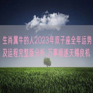 生肖属牛的人2023年双子座全年运势及运程完整版分析 万事顺遂天赐良机