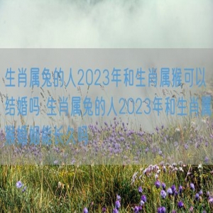 生肖属兔的人2023年和生肖属猴可以结婚吗 生肖属兔的人2023年和生肖属猴婚姻能长久吗