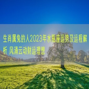 生肖属兔的人2023年水瓶座运势及运程解析 风涌云动财运理想