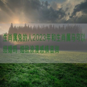 生肖属兔的人2023年和生肖属马可以结婚吗 细致浪漫感情滋润