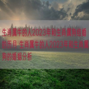 生肖属牛的人2023年和生肖属狗结婚的历月 生肖属牛的人2023年和生肖属狗的婚姻分析