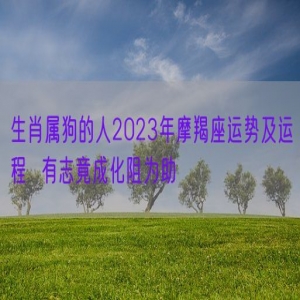 生肖属狗的人2023年摩羯座运势及运程  有志竟成化阻为助