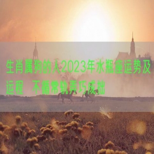 生肖属狗的人2023年水瓶座运势及运程  不循常轨弄巧成拙