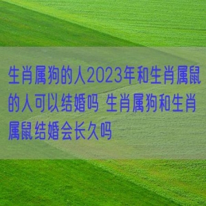 生肖属狗的人2023年和生肖属鼠的人可以结婚吗 生肖属狗和生肖属鼠结婚会长久吗