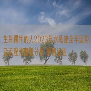 生肖属牛的人2023年水瓶座全年运势及运程完整版分析 爱情运佳
