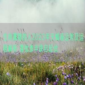 生肖属猪的人2023年天蝎座运势及运程解析 喜忧参半跌宕起伏