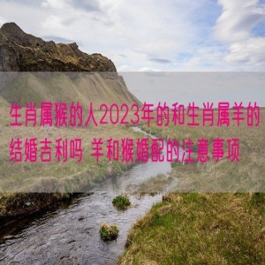 生肖属猴的人2023年的和生肖属羊的结婚吉利吗 羊和猴婚配的注意事项