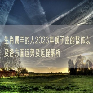 生肖属羊的人2023年狮子座的整体以及各方面运势及运程解析