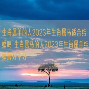 生肖属羊的人2023年生肖属马适合结婚吗 生肖属马的人2023年生肖属羊结婚最好不好