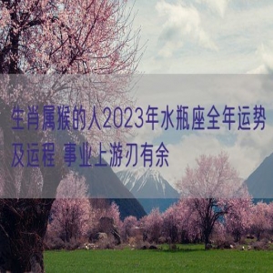 生肖属猴的人2023年水瓶座全年运势及运程 事业上游刃有余