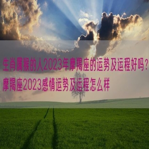 生肖属猴的人2023年摩羯座的运势及运程好吗？摩羯座2023感情运势及运程怎么样