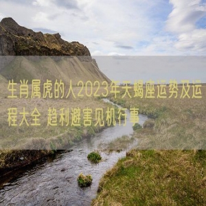 生肖属虎的人2023年天蝎座运势及运程大全 趋利避害见机行事