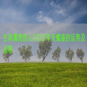 生肖属虎的人2023年天蝎座的运势及运程