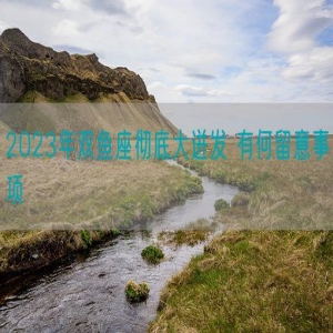 2023年双鱼座彻底大迸发 有何留意事项