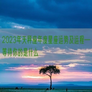 2023年天秤座年度星座运势及运程—等待你的是什么