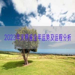 2023年天秤座全年运势及运程分析