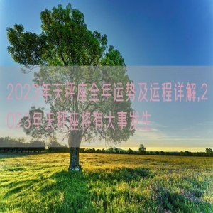 2023年天秤座全年运势及运程详解,2023年天秤座将有大事发生