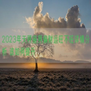 2023年天秤座男偏财运旺不旺详情分析 该如何提升    